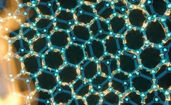 How do Elastomers Improve the Properties of Bio-Polymers?