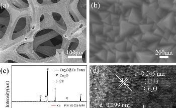 Researchers Discover an Effective Method to Remove Nitrogen from Water