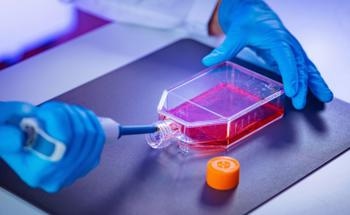 How is 4D Bioprinting Used for Tissue Engineering?