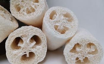 How can Shavings of Iron, Loofah and Plastic Waste be Used to Treat Wastewater?