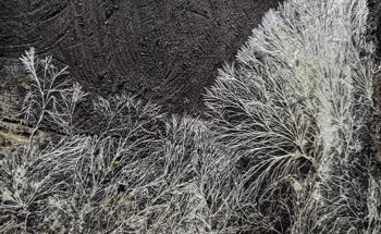 3D Printing Wood and Mycelium Composites for Sustainable Building