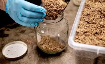 How Can we Recycle Spent Mushroom Substrate Waste?