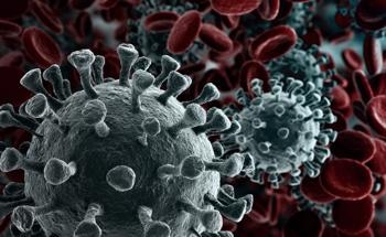 How Can Calcium Alginate Films Tackle Viruses?