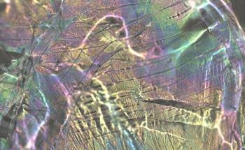Research Collaboration Developing Sustainable Textile Coating