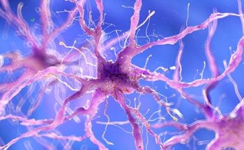 Regenerating Nerves with Polymer Hydrogels
