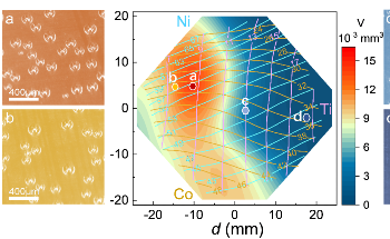 Scalable High-Throughput Method Helps Identify Multicomponent Alloys with Highest Catalytic Properties