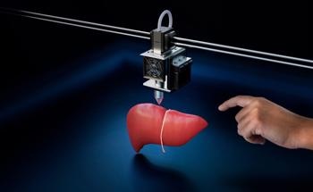 How Can Chitosan Be Used in Artificial Organs?