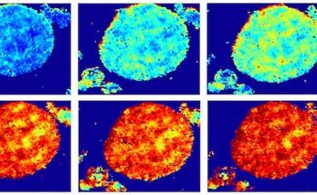 Study Proposes Stress Among Misaligned Particles in Typical Cathodes Limits Flow