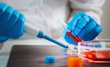 New 3D Tissue Engineering Scaffolds