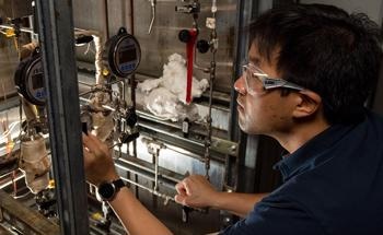 Lignin-Based Jet Fuel Blended with Other Biofuels can Replace Petroleum-Derived Fuels, Study Says