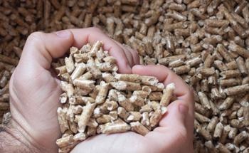 Novel Method to Obtain Biomass from Porous Carbon Materials