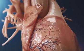 Encouraging Heart Cell Growth with Nanostructured Multi-Walled Carbon Nanotubes
