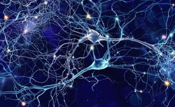 Polymer Electrolytes Modeled on Nerve Networks for Li-Ion Pathways