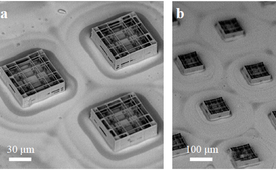 Scientists Develop Progressive Optical Approaches That Permit 3D Scaffolds