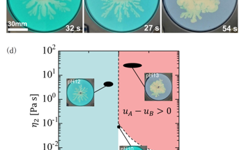 A New Stage of Reacting Flow Research