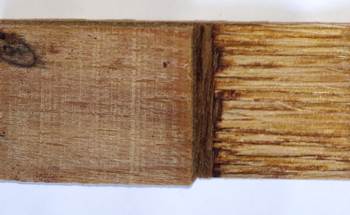 Researchers Create a Water-Resistant Three-Layer Plywood Using Glucose and Citric Acid