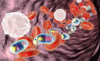 Oral Biomedical Applications of Chitosan