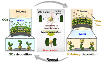 Amphiphilic Assembly-Based Electrode for High-Performance Hybrid Biofuel Cells