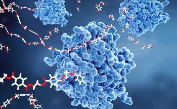 A Helicoidal-Shaped Defect Discovered in Layered Polymers