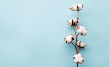Using Cotton Stalk Raw Material as Li-Ion Anode Material
