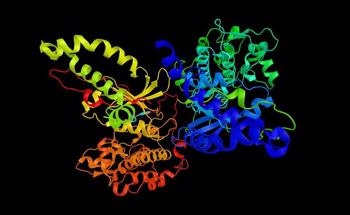 Studying the Biodegradation of 'Bone Glue'
