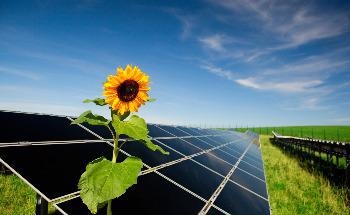 Chula’s New Solar Cells Meet International Standards and can Develop Clean Energy for Society