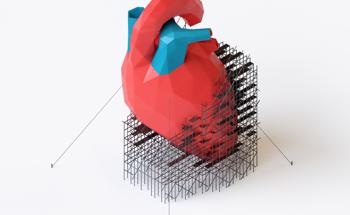 Heart Regeneration with Polycaprolactone Material