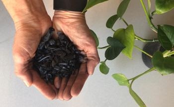 Characterizing Biochar Ashes after Combustion