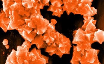 Postsynthesis Processes in Purified Perovskite Nanocrystals