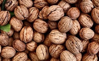 How Can Walnut Shells be Used in Geopolymers?