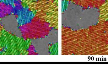 Modeling Nanoscale Crystal Dynamics in Easy-to-View System