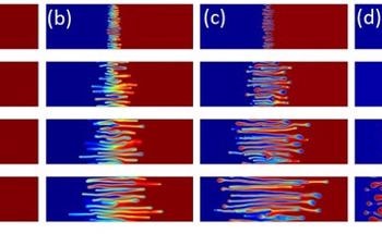 Experts Numerically Reproduce a Topological Change of Viscous Fingering