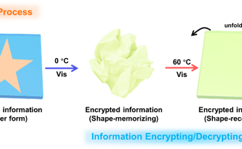 Innovative Fluorescent Organohydrogel for Dual Information Encryption