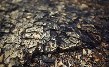 Scientists Examine Superhydrophobic Coatings Enabled by Iron Ore Tailings