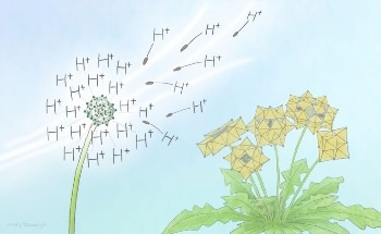 Scientists Find Rare Cluster Compound