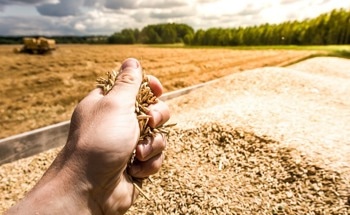Researchers Develop Novel Polymers to Assist Farmers With Increased Agricultural Yields