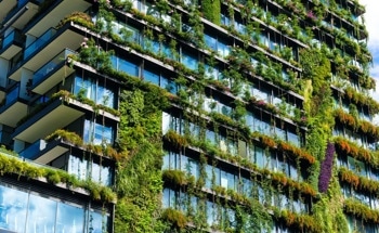 Using an Analytical Hierarchy Process to Improve Green Building Practices