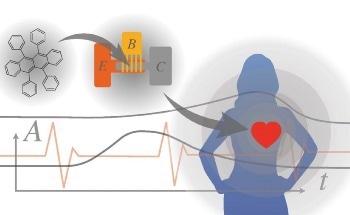 Efficient Organic Bipolar Transistor Opens up New Perspectives for Organic Electronics