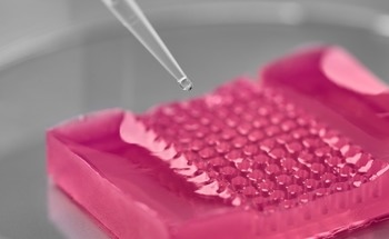 Micro-Histology: A New Discipline for Organoid Technology
