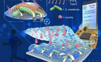 Flexible Bioelectronic Device to Monitors Lactate and Tumor Cells