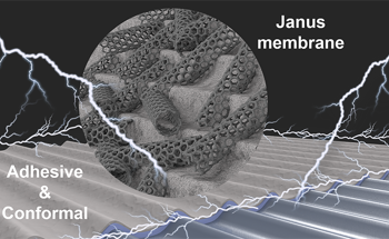 Elastic and Conductive Bioinspired Skin-Like Membrane with Excellent Adhesion