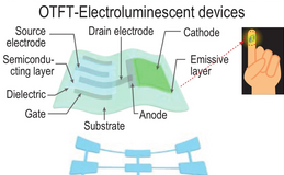 Recent Progress in the Field of Intrinsically Flexible Displays