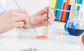 Scientists Review the Difficulties of Creating Biomaterials with Extrusion-Based 3D Printing