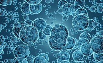 Scientists Discuss Plant-Based Drug Delivery Systems
