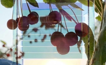 New Efficient Semitransparent Solar Cells for Home Windows