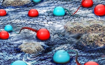 Novel Semiconductor That Challenges Traditional Physics Concepts