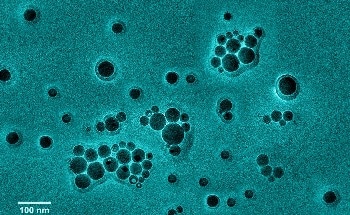 Precise Metering Techniques Needed for Dosing of Highly Viscous Capsule Material