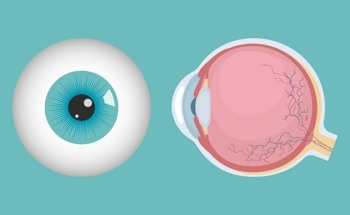 Can We 3D Bioprint Corneas?