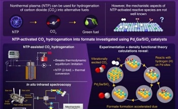 The Relationship Between Catalysts and NTP-Activated CO2