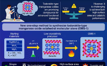 Researchers Devise Simpler Method to Yield OM-1 Nanoparticles